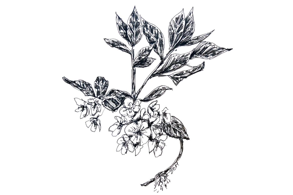 Sketchbook: Week of April 21, 2025