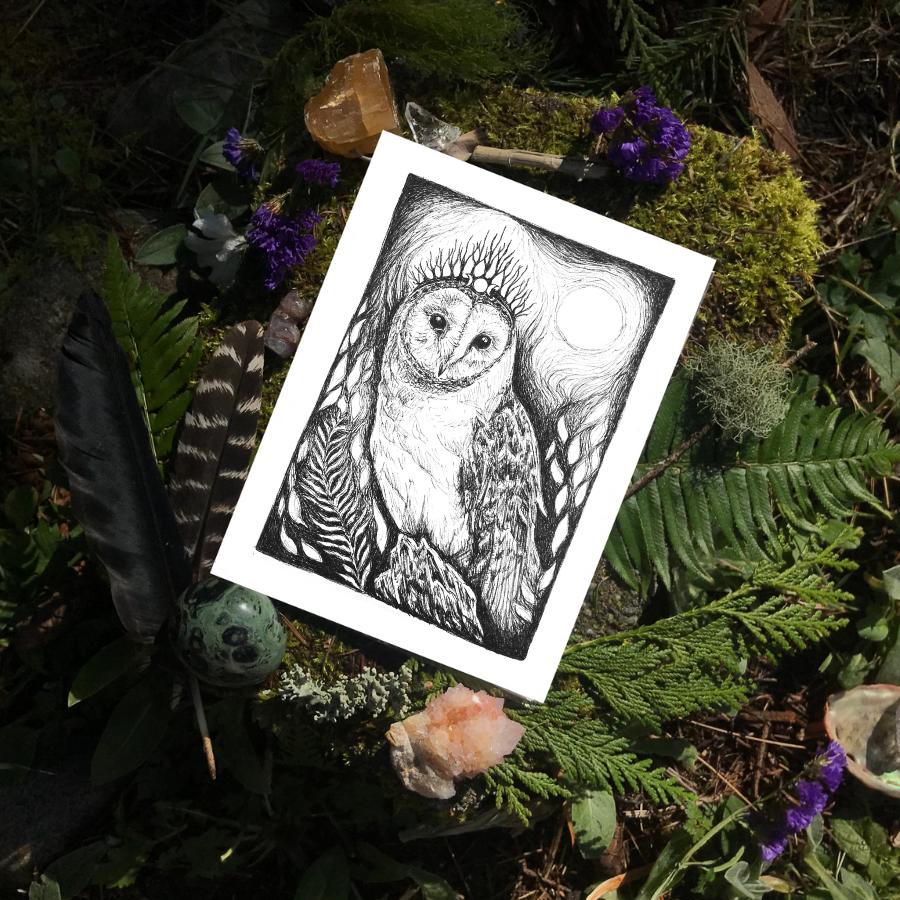 Sacred Wild Collection