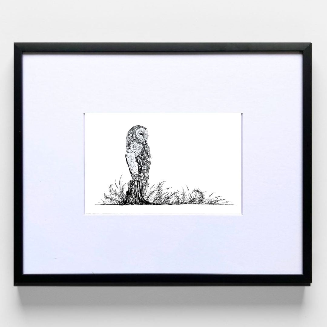 Barn Owl & Ferns - Original Pen & Ink Illustration