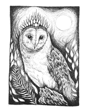 Night Queen - Barn Owl Fine Art Print
