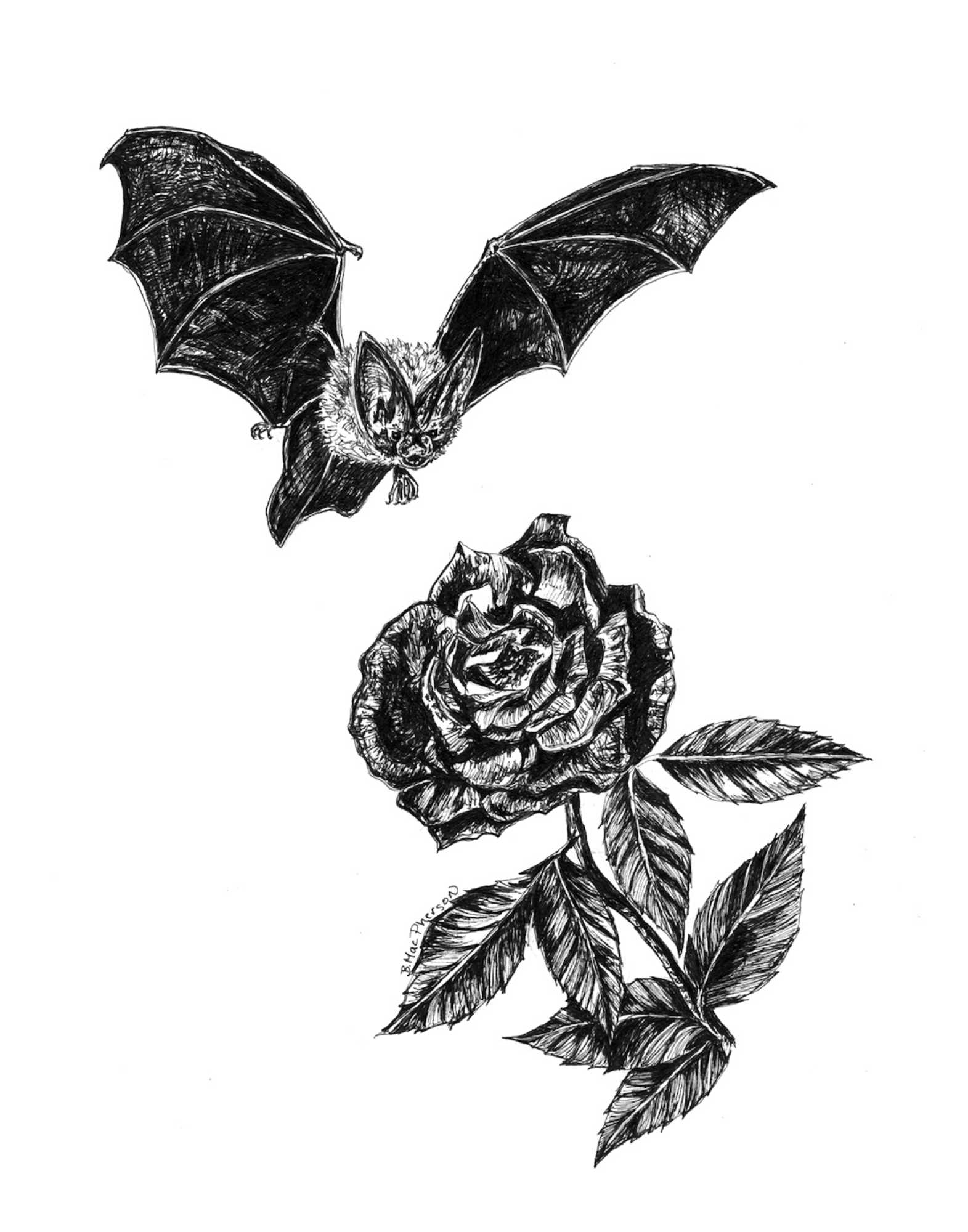 Bat & Rose: Fine Art Print