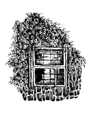 Fine Art Print - 5x7 ALL