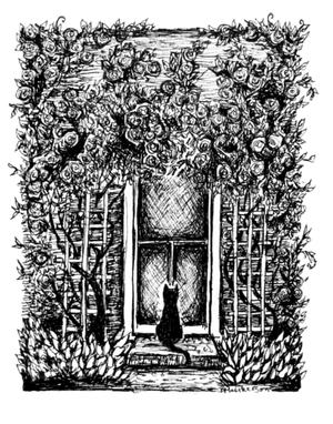 Rose Door - Black Cat Fine Art Print