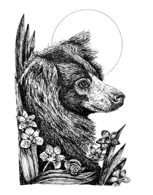 Fine Art Print - 5x7 ALL