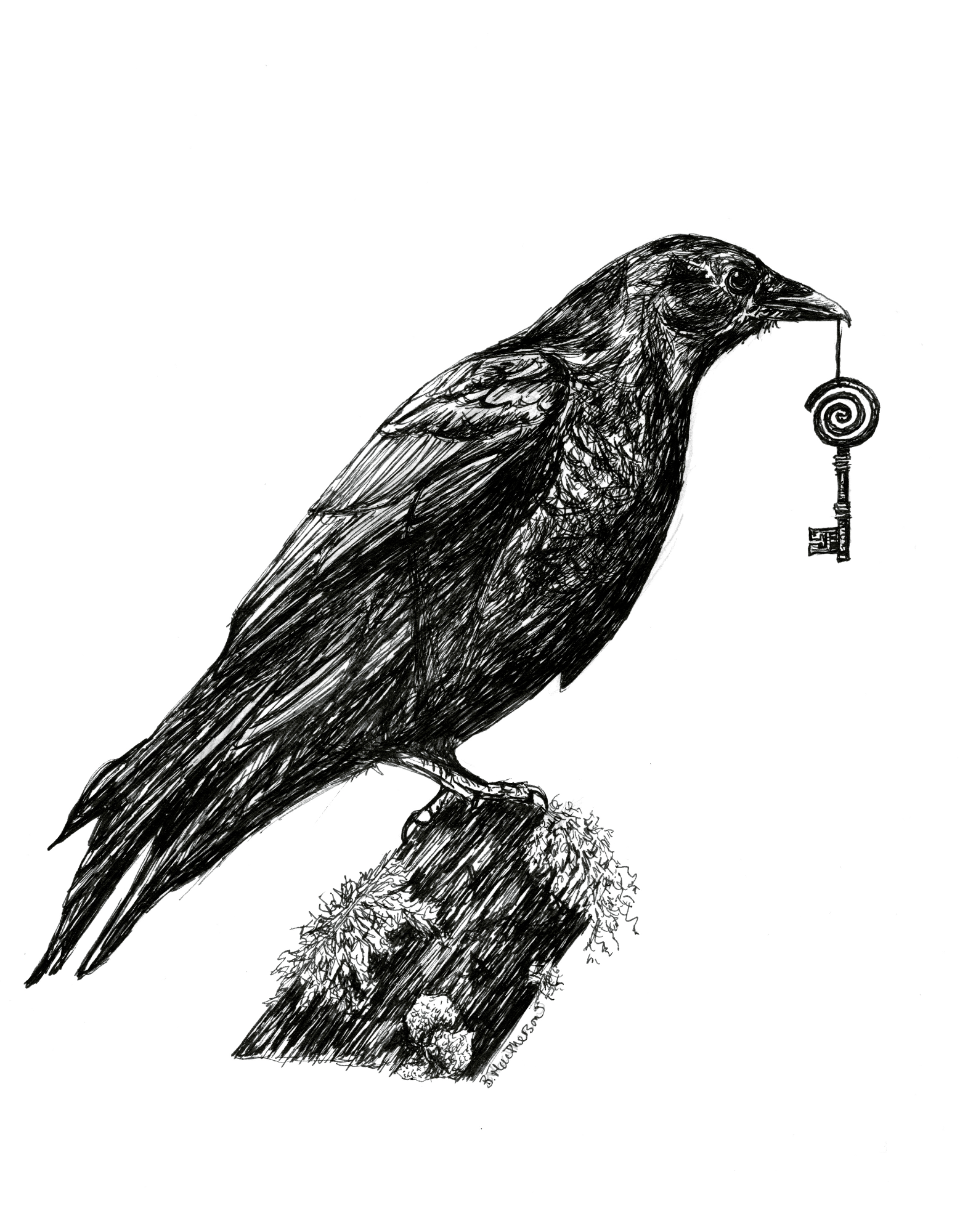 Corvids Gift: Crow & Raven Art Print