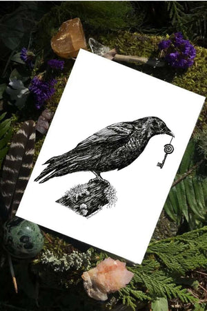 Corvid's Gift Fine Art Print
