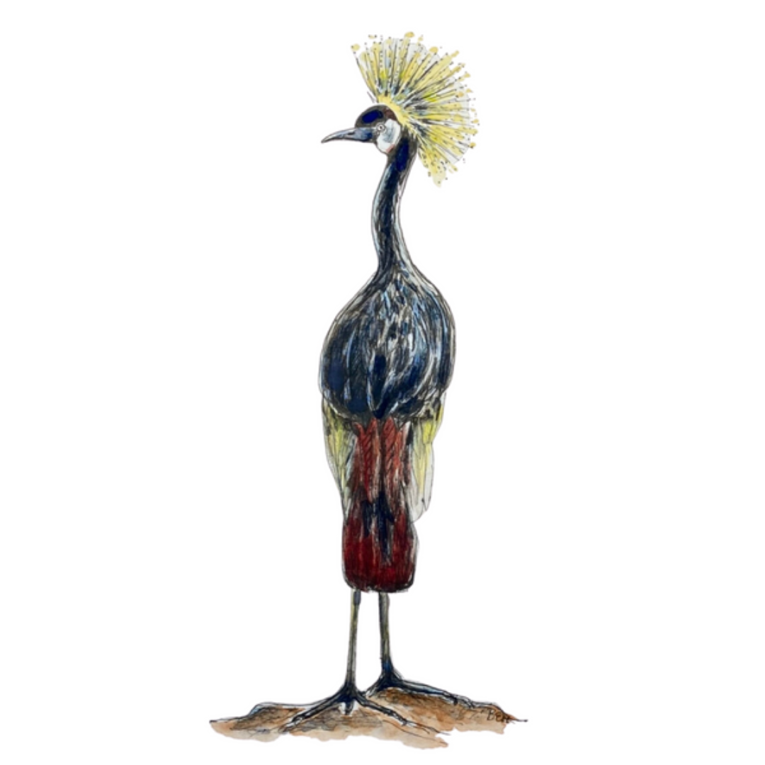 Crowned Crane - Original Watercolor Illustration