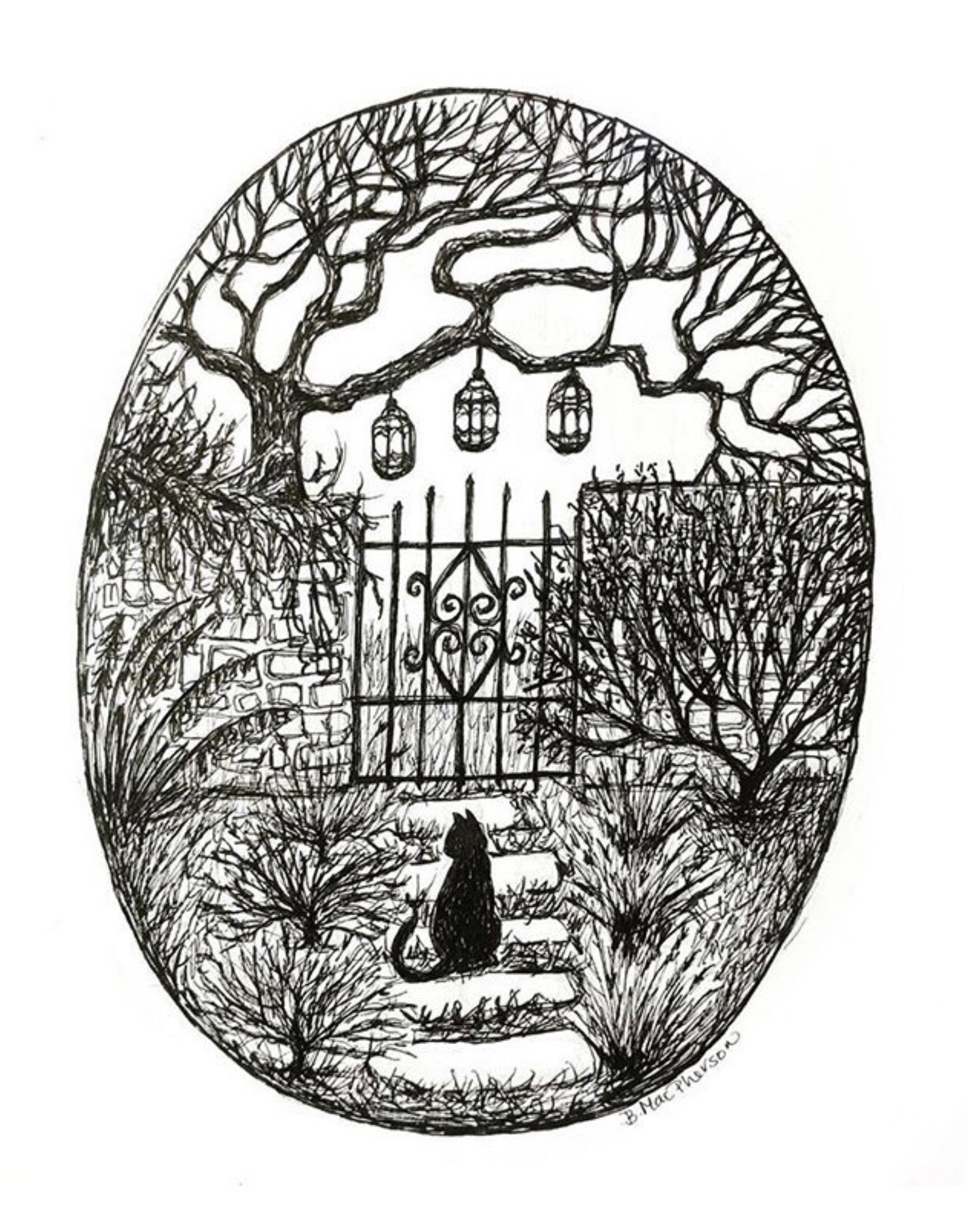 Evening Garden Fine Art Print