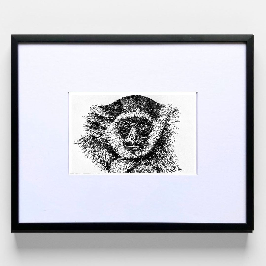 Goliath the Gibbon - Original Pen & Ink Illustration
