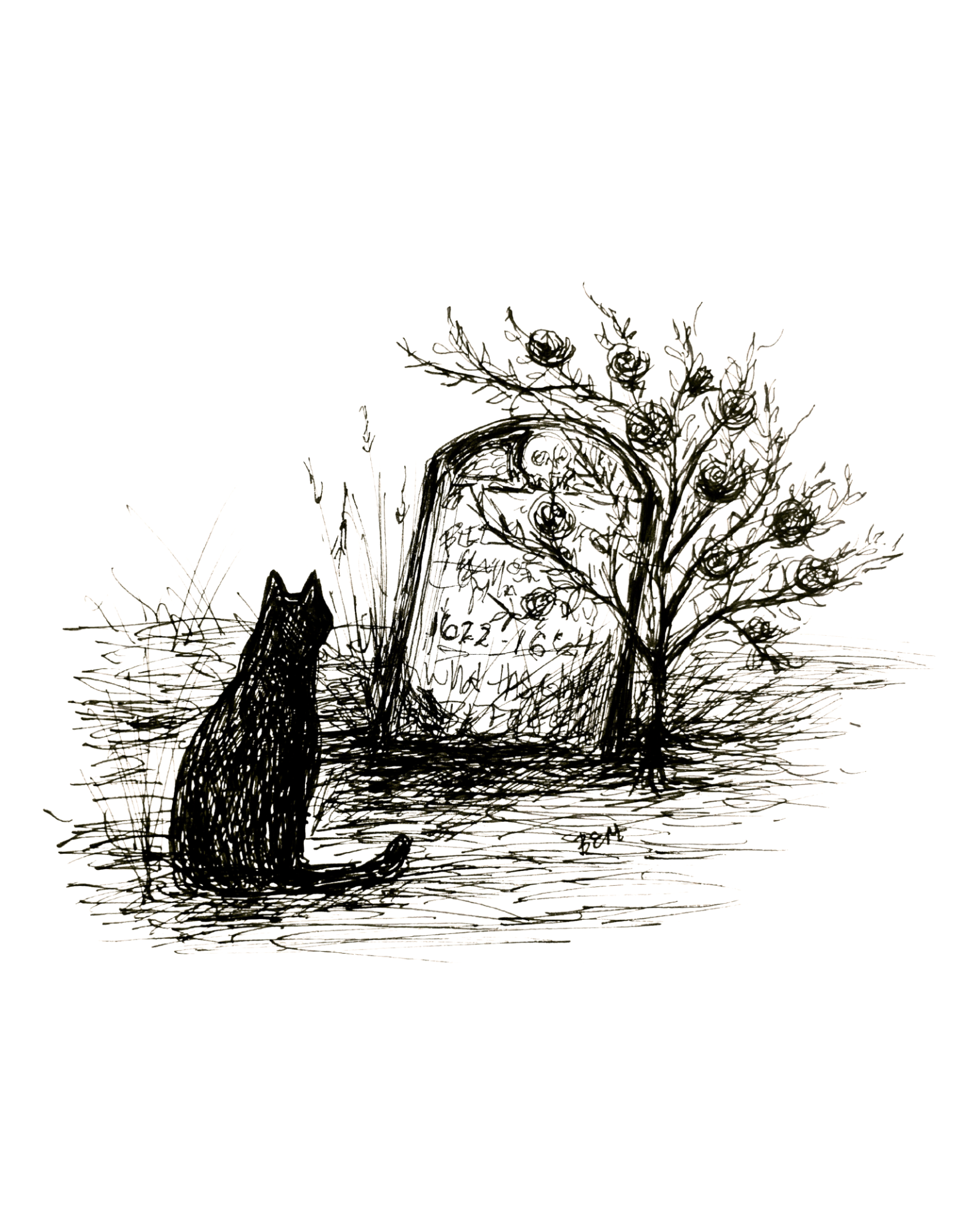 Grave Cat and Roses - Black Cat Fine Art Print