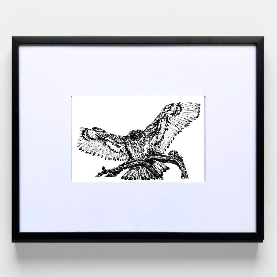 Ferrugenous Hawk- Original Pen & Ink Illustration