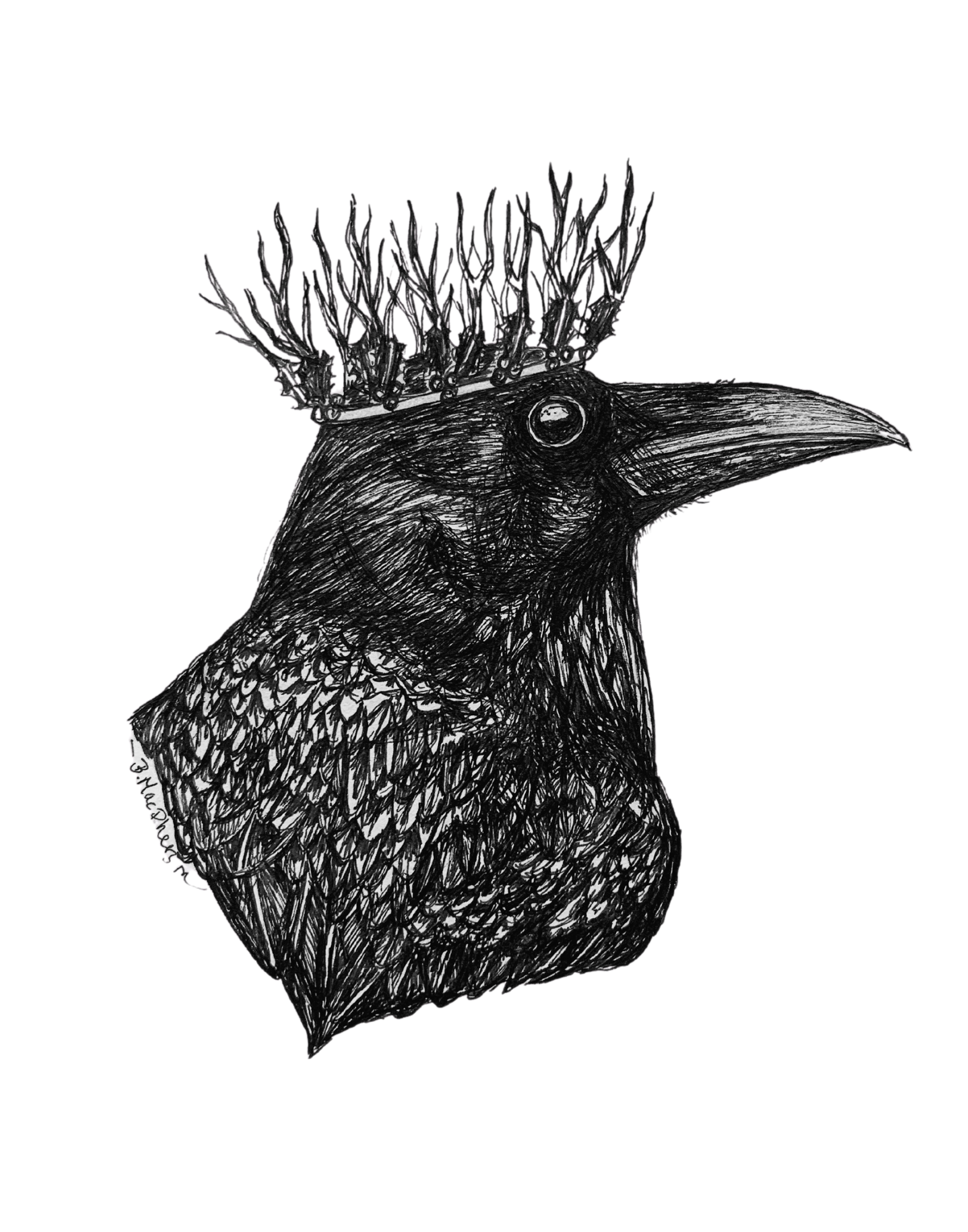 Holly Queen - Crow & Raven Art Print