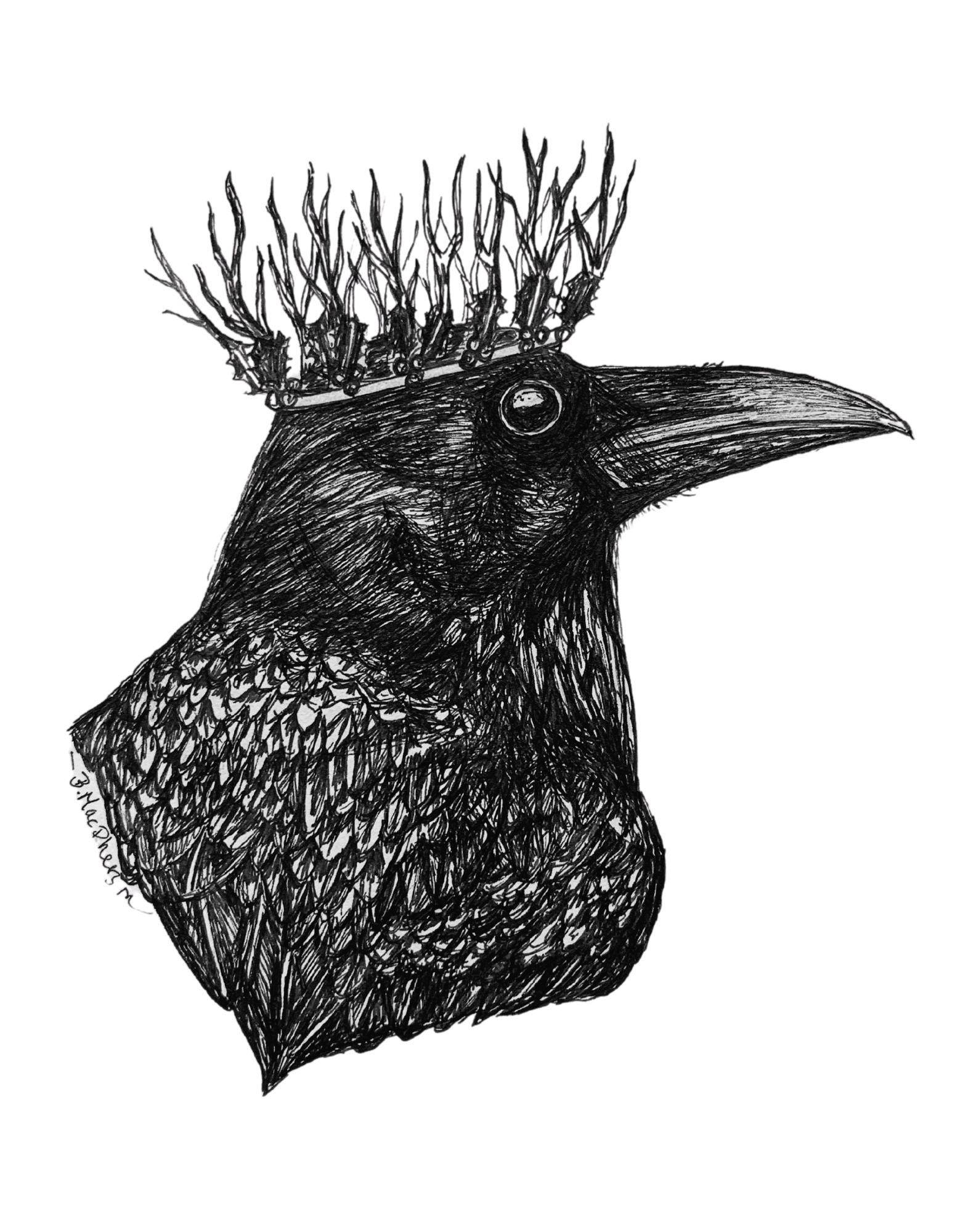 Holly Queen - Raven Fine Art Print