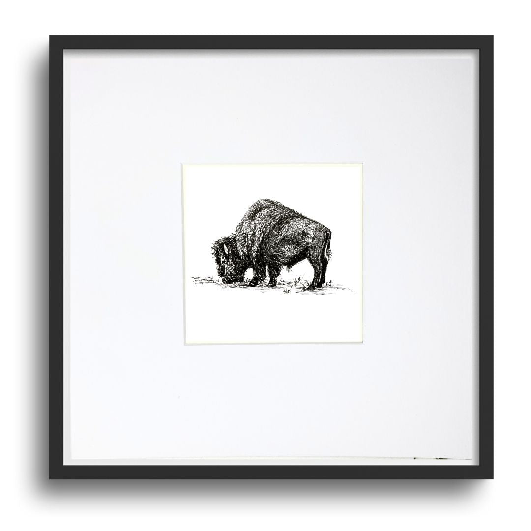 Yellowstone Bison- Original Pen & Ink Illustration