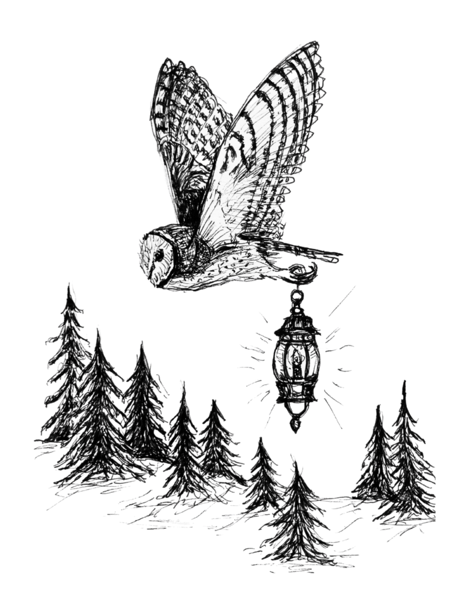 Lighting the Way - Barn Owl Fine Art Print