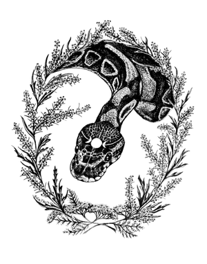 Transformation - Snake and Mugwort Fine Art Print