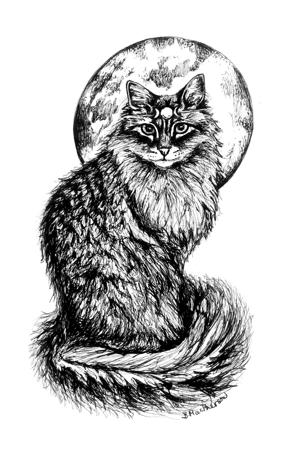 Fine Art Print - 5x7