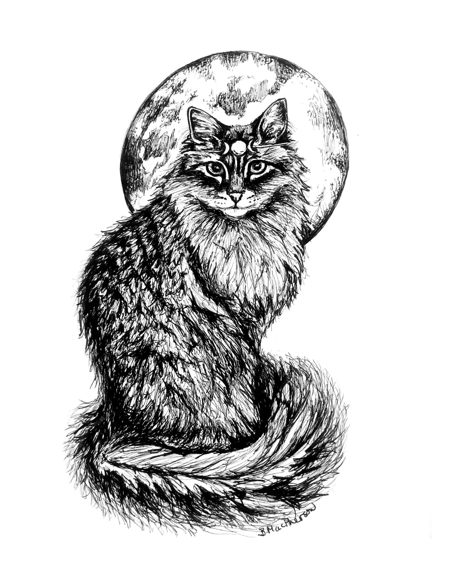 Moon Cat - Fine Art Print