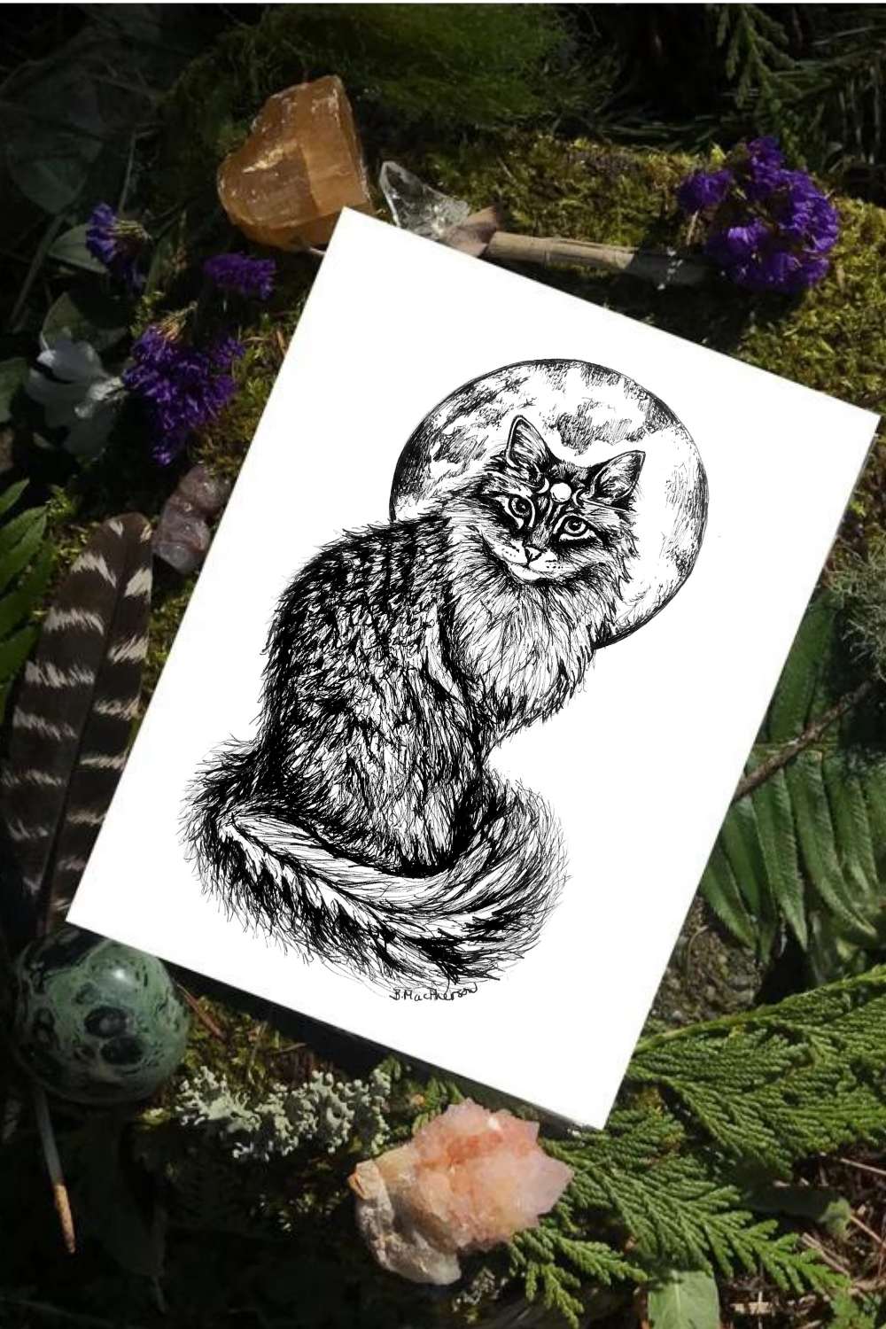 Moon Cat Fine Art Print