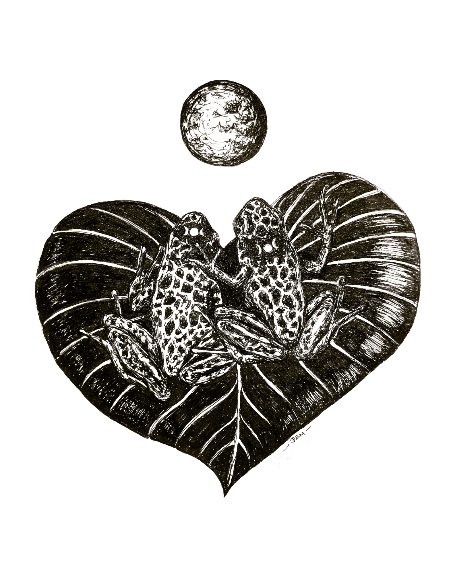 Gazing at the Moon Fine Art Print