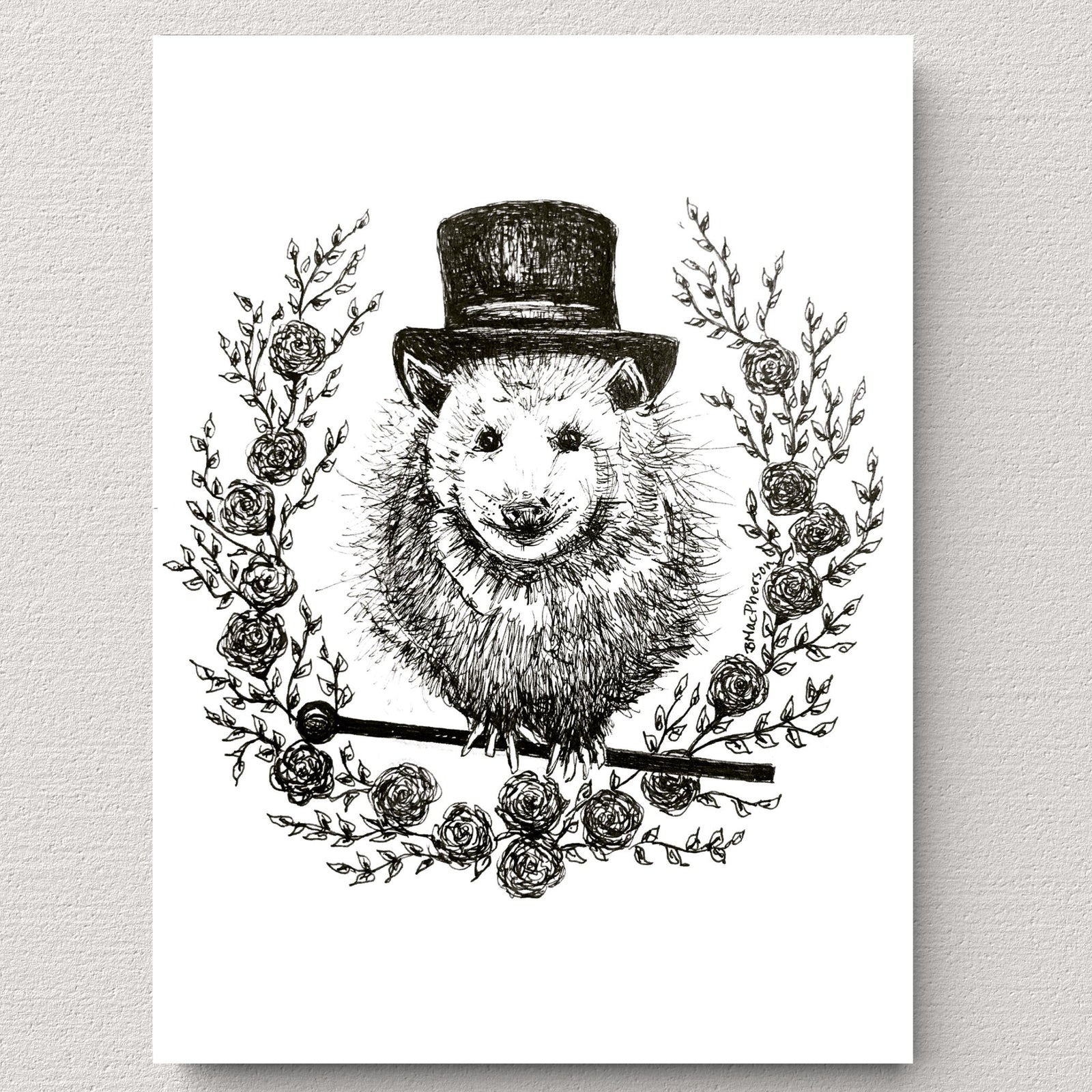 Dapper Possum