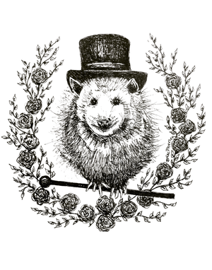 Night Circus - Possum Fine Art Print