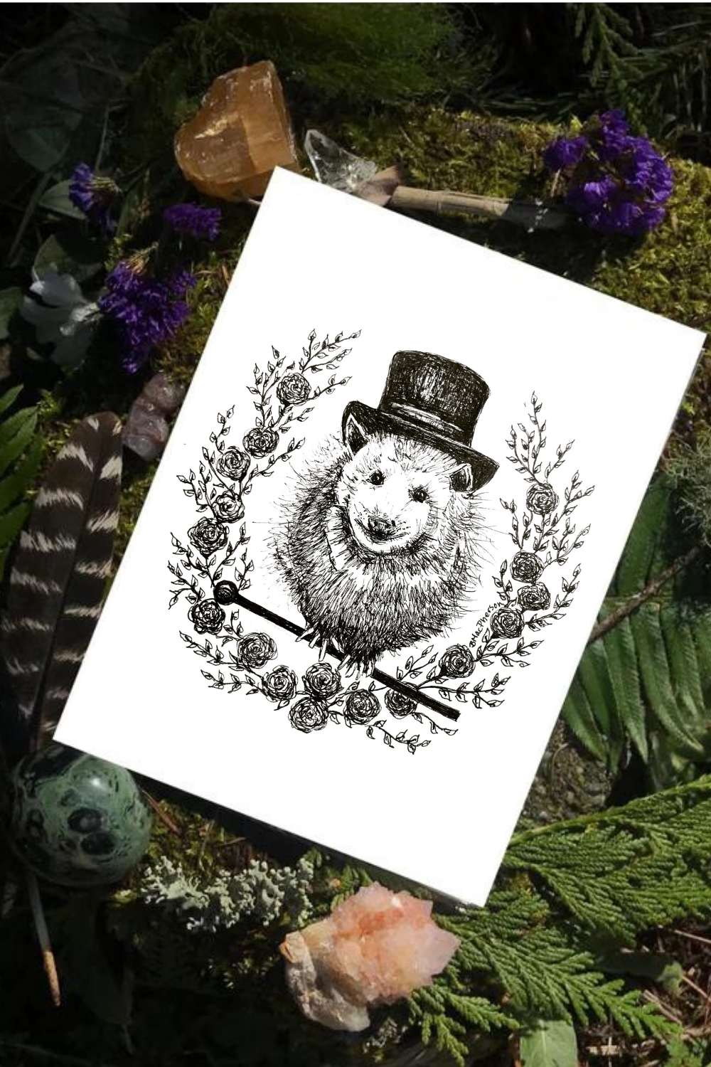 Night Circus - Opossum Fine  Art Print