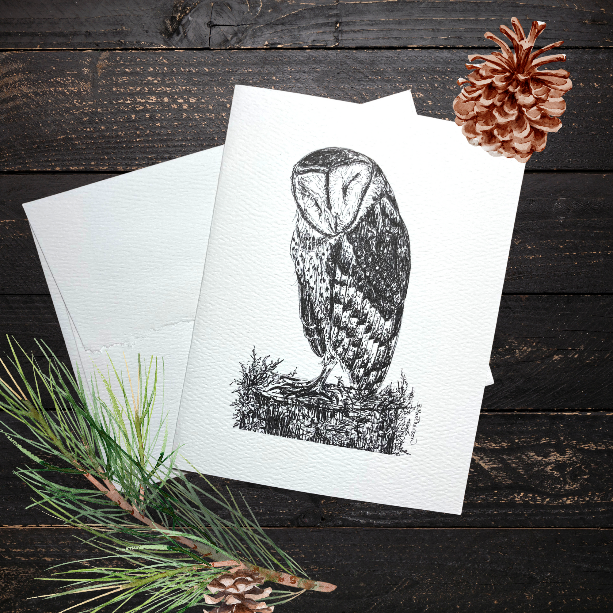 Barn Owl Notecard Set