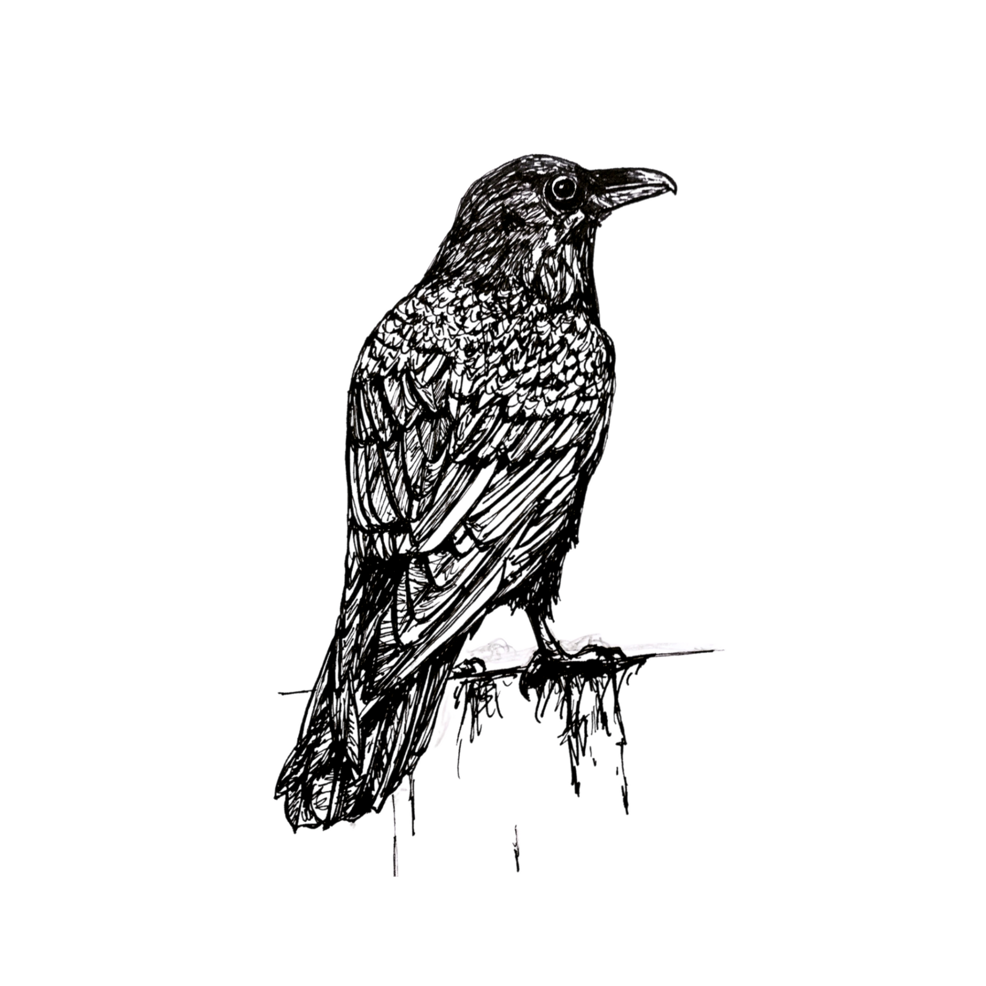 Fine Art Print - 5x7