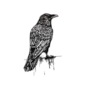Fine Art Print - 5x7