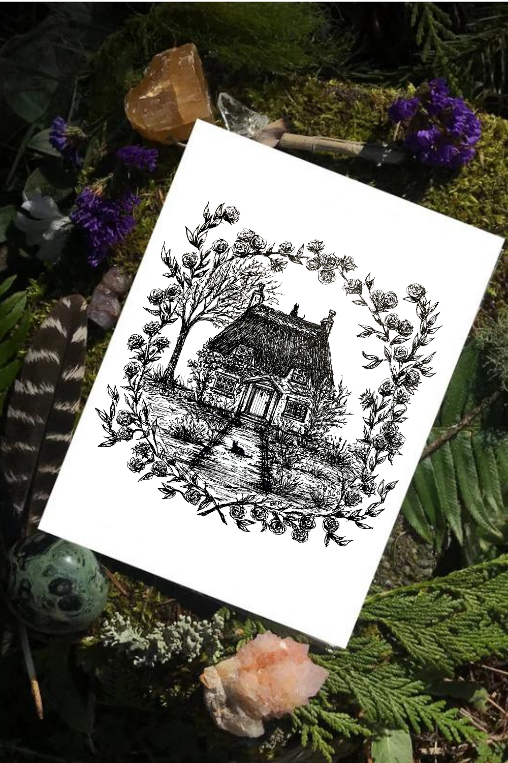 Rose Cottage - Black Cat Fine Art Print