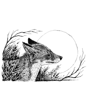 Sacred Fox - Fine Art Print