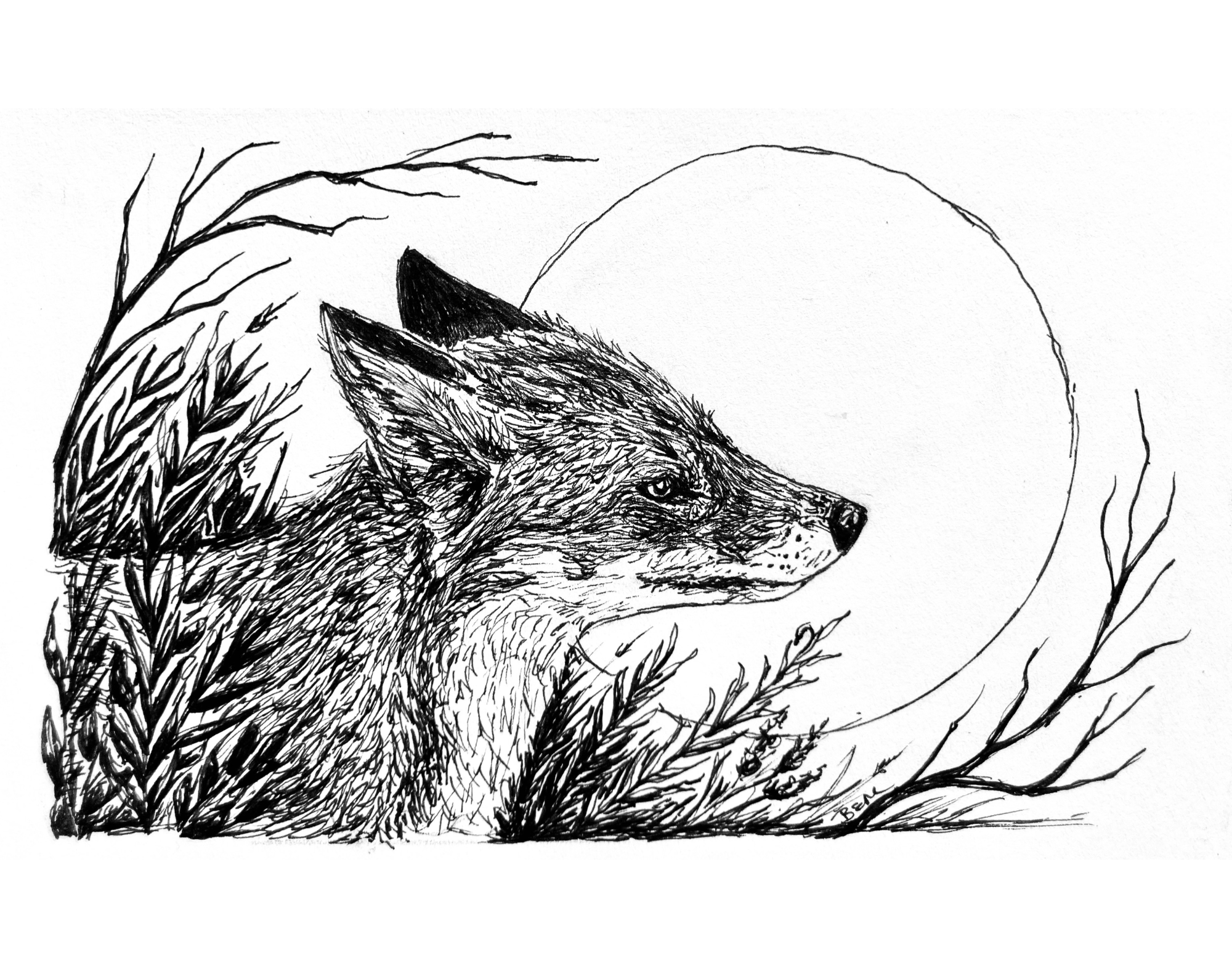 Fine Art Print - 5x7 ALL