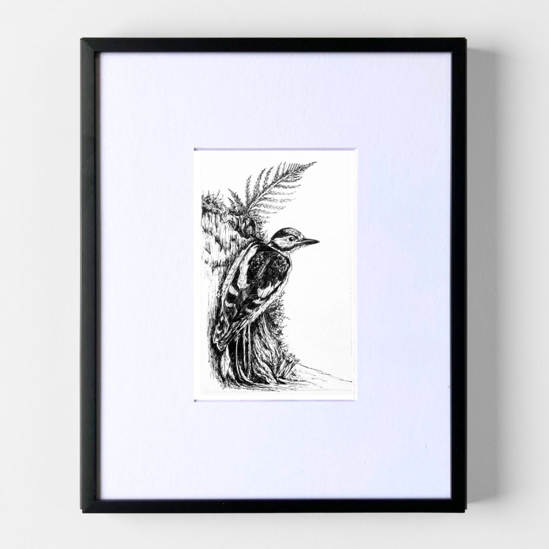 Phelddagrif フェルダグリフ　Amy weber 直筆サインスケッチ Spotted Woodpecker - Original Pen & Ink Illustration - Becky