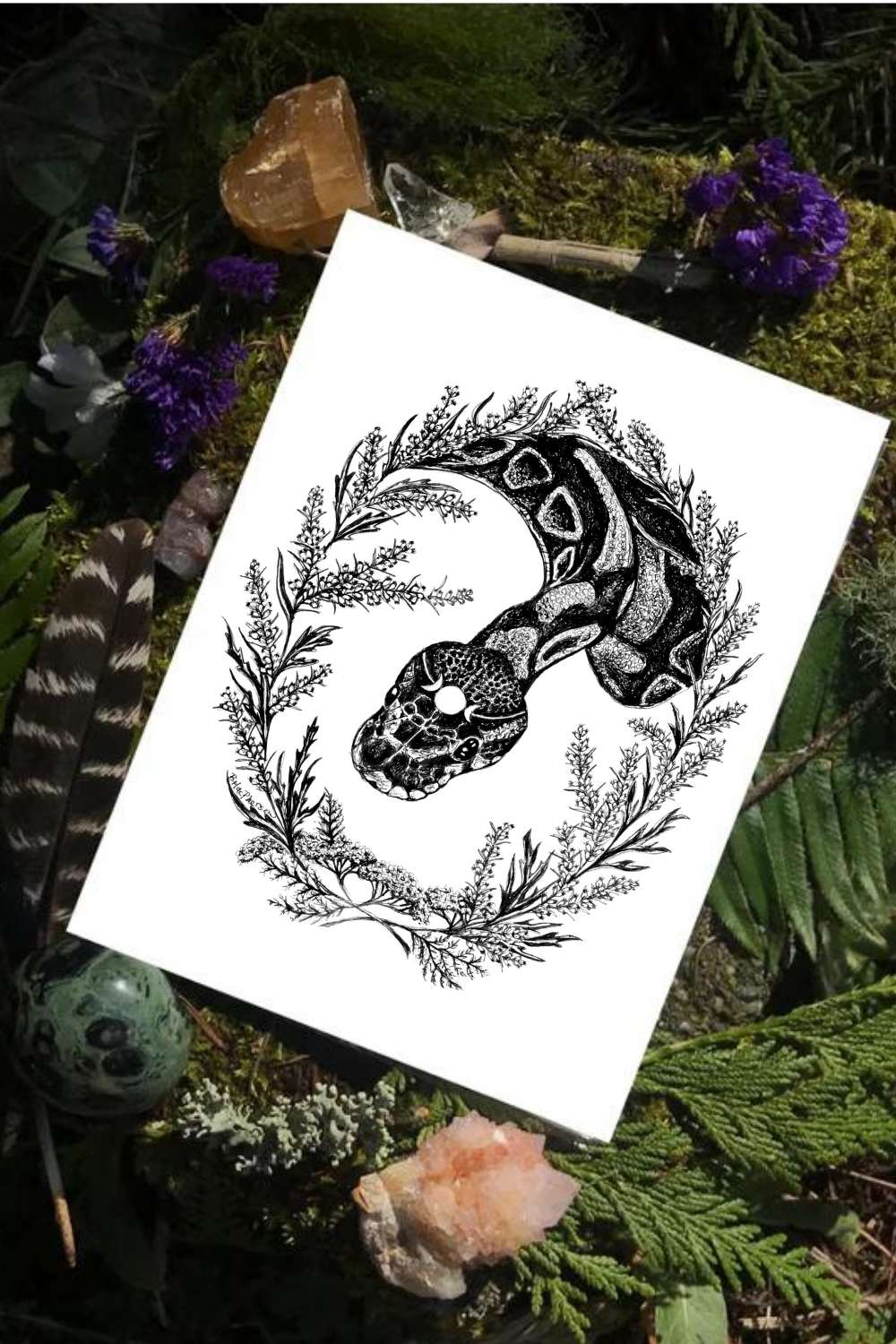 Transformation - Snake and Mugwort Fine Art Print