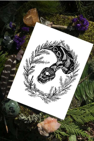 Transformation - Snake and Mugwort Fine Art Print