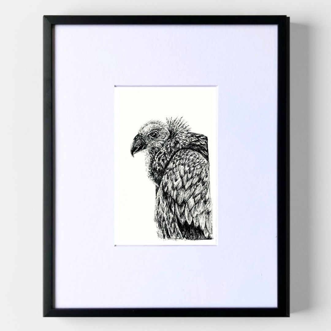 Vulture - Original Pen & Ink Illustration