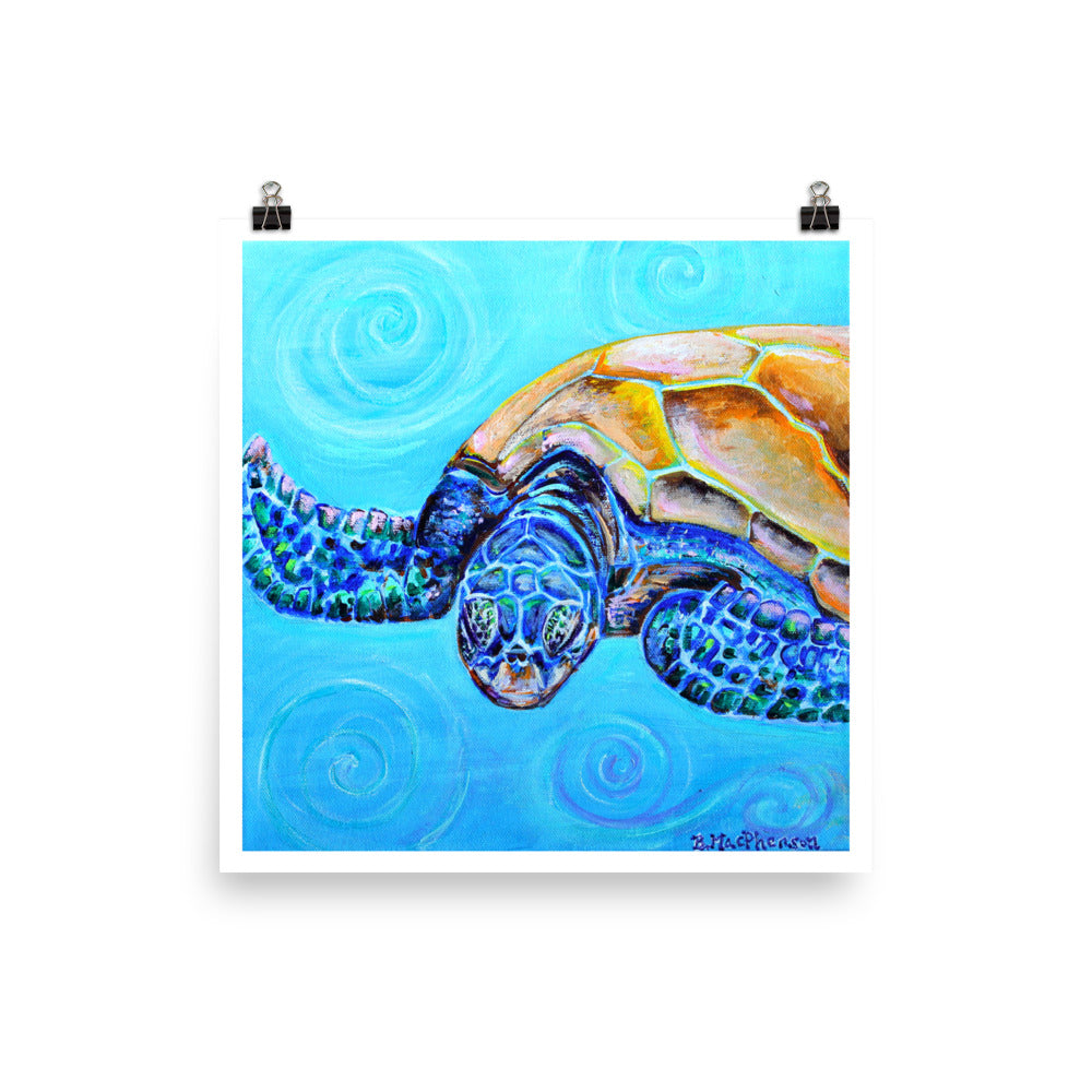 Sea Turtle - Fine Art Print