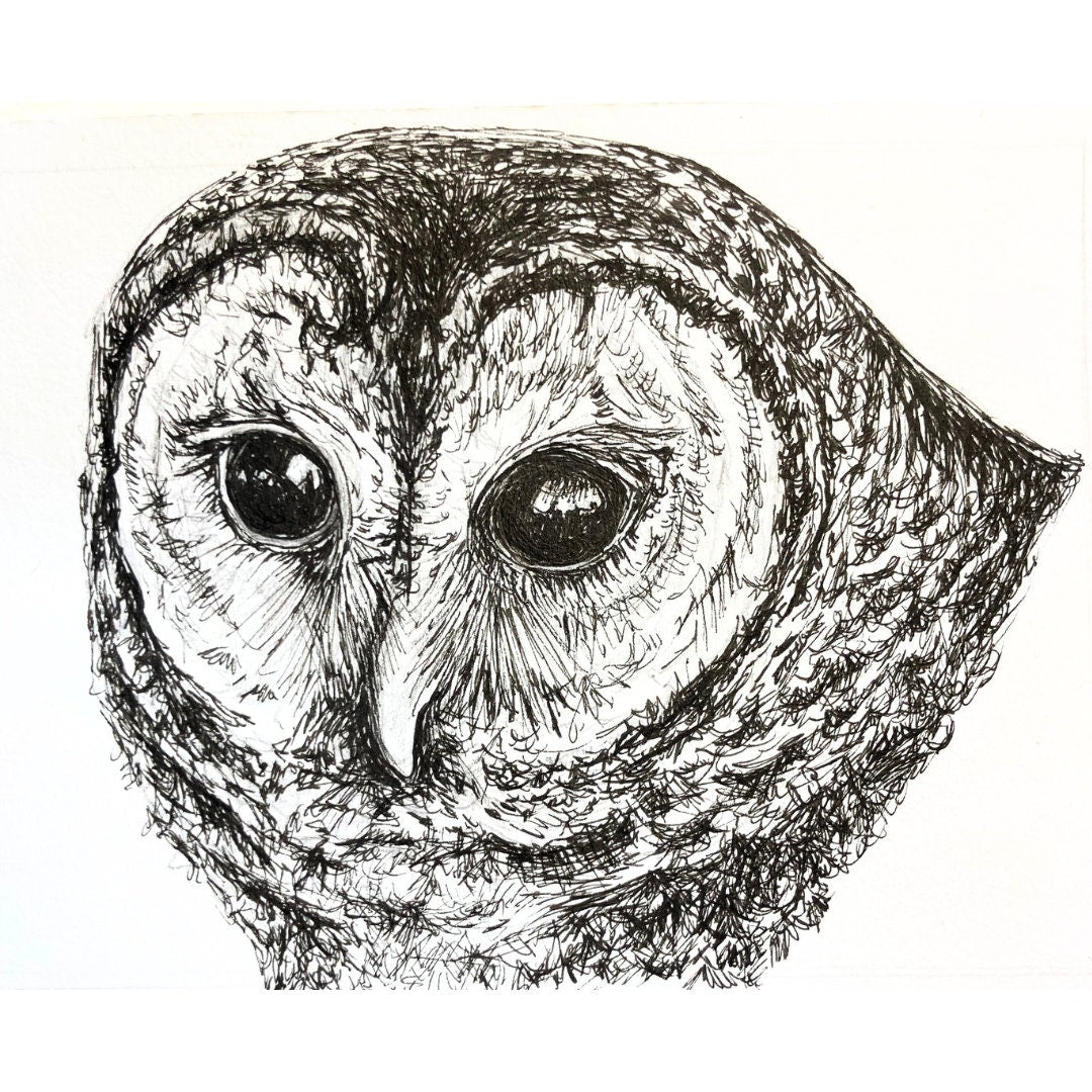Original Barred Owl Portrait - Pen & Ink Illustration